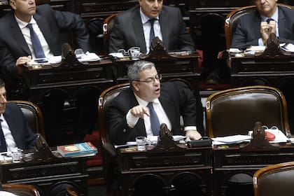 El peronista Germán Martínez se enojó tras la votación