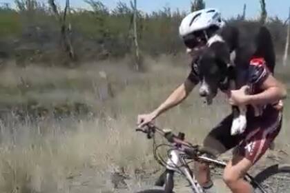 El perrito estaba deshidratado y lo cargaron hasta una ciudad