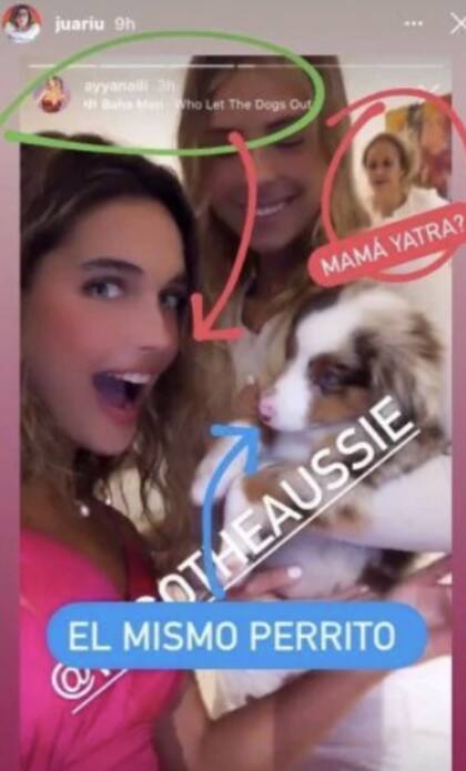 El perrito, la clave con la que, según Braier, Yatra y Abreu estarían viviendo un romance