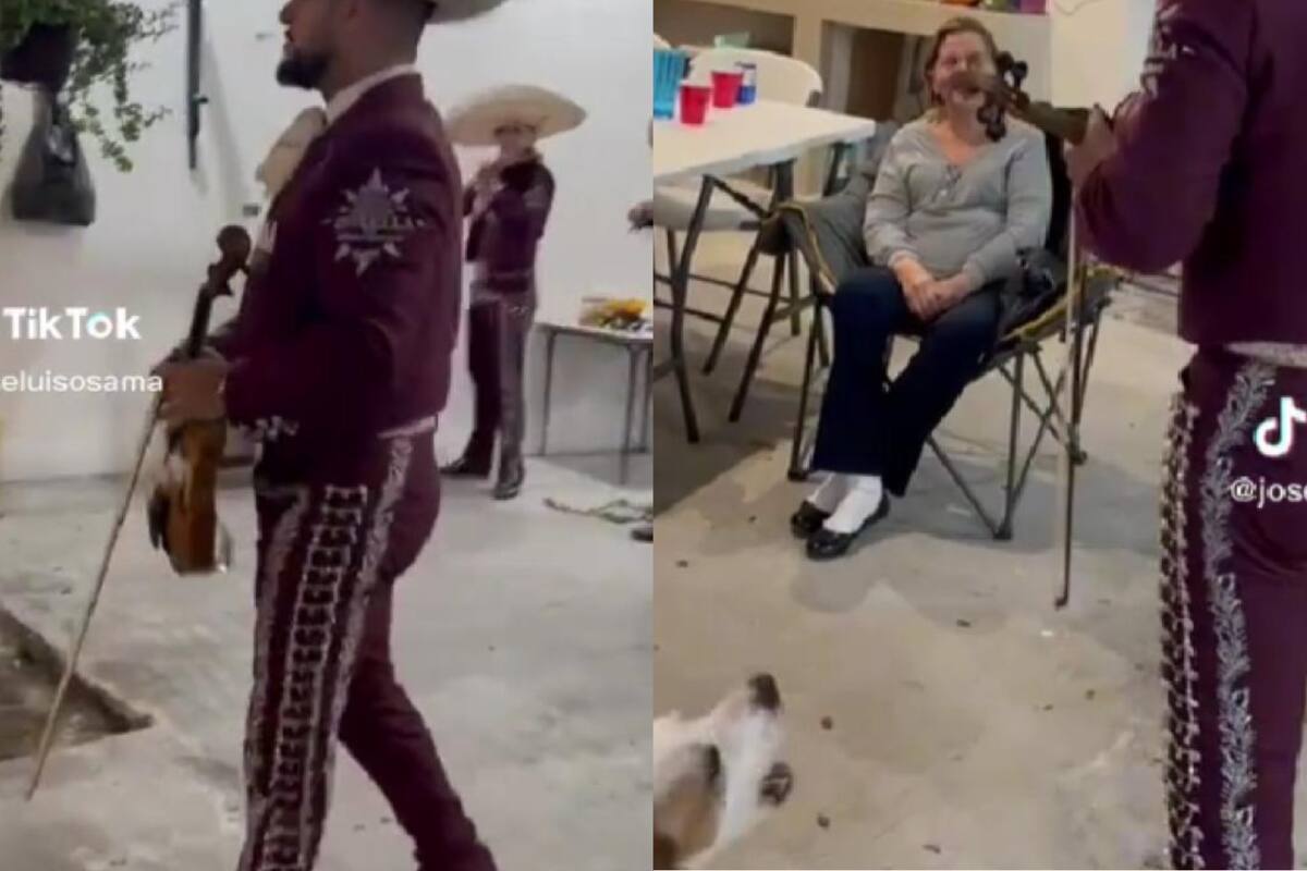 El perro aparece desde la parte inferior izquierda de la pantalla (Foto TikTok: @joseluisosma)