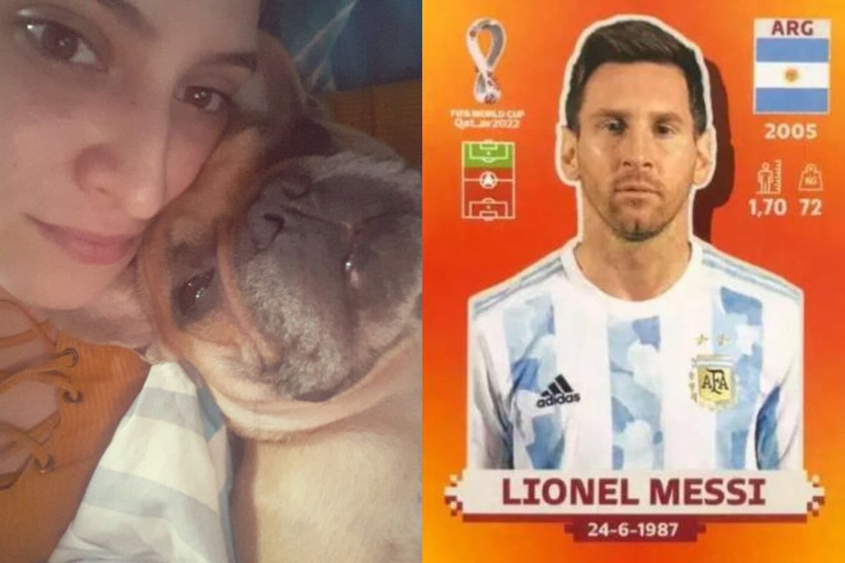 El perro aún no fue localizado (Foto: Facebook: Sol Ayos / Panini)