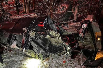 El perro buscó ayuda y le salvó la vida a sus dueños. Foto: AFP