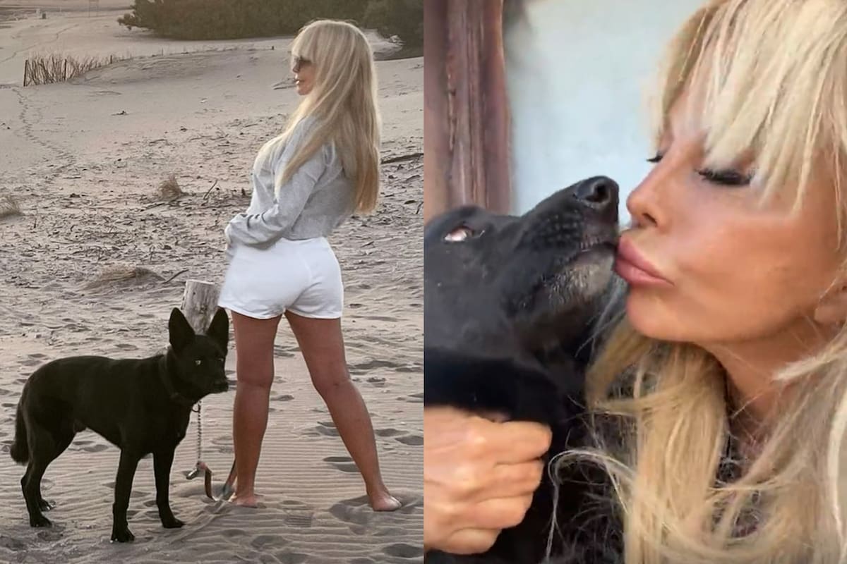 El perro de Graciela Alfano atacó a un hombre en Recoleta y tuvo que intervenir la policía