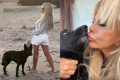 El perro de Graciela Alfano atacó a un hombre en Recoleta y tuvo que intervenir la policía