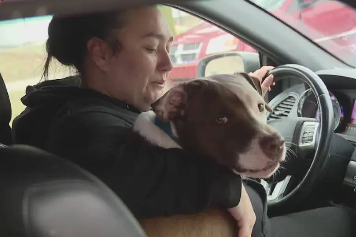 El perro de una familia de Detroit fue el héroe en medio de un incendio