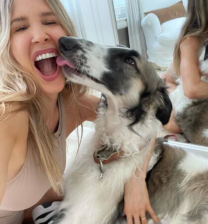 El perro de Valdés es de raza Bonzoi, de origen ruso