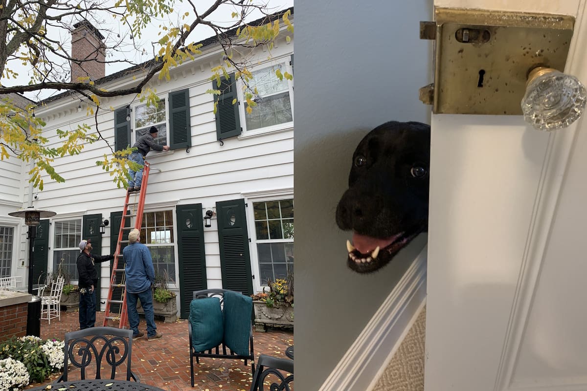 El perro del gobernador de Minnesota quedó atrapado en el cuarto de la residencia oficial y generó toda una movilización