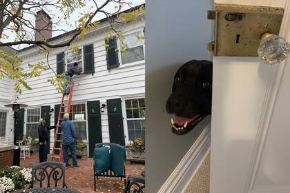 El perro del gobernador de Minnesota quedó atrapado en el cuarto de la residencia oficial y generó toda una movilización