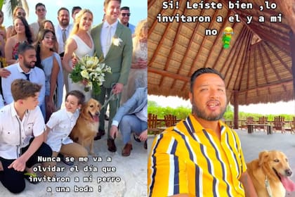 El perro fue el centro de la fiesta (Foto: Captura de video)