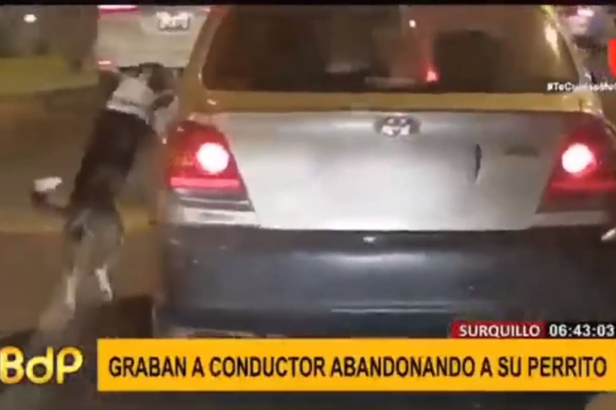 El perro intenta subir por la ventana del hombre que lo acaba de abandonar en plena avenida