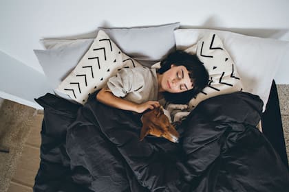 El perro le gana a los hombres y también a los gatos que resultan tan molestos en la cama como una pareja humana