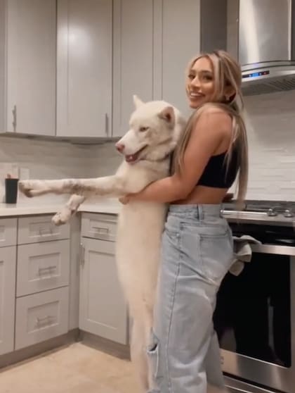 El perro lobo logró un gran tamaño con apenas un año de edad, aseguró la tiktoker