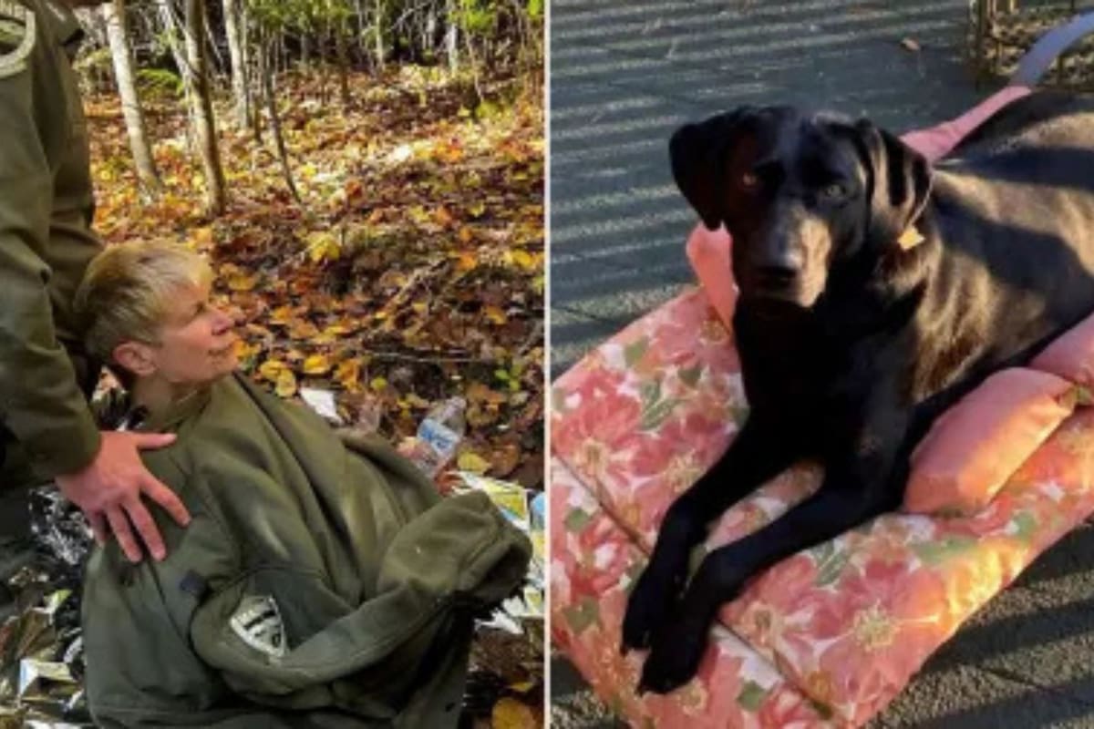 El perro logró a través de sus cuidados ayudar a la mujer de 72 años a sobrevivir