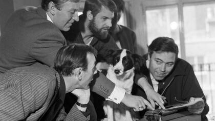 El perro Pickles se convirtió en una celebridad después de encontrar el trofeo perdido