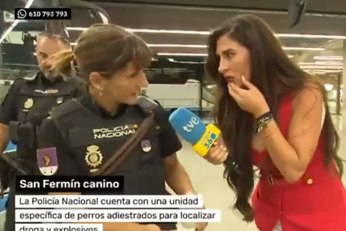 El perro que encontró droga durante una entrevista televisiva en San Fermín