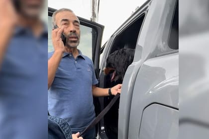 El perro quedó bajo cuidado de quienes lo rescataron (Captura video)