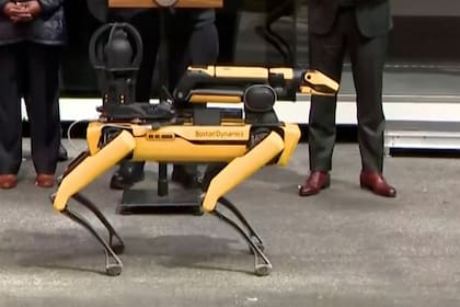 El perro robot que usa la policía de la ciudad de Nueva York, similar al que equiparán las autoridades chinas con un pulverizador de insecticida para intentar frenar la epidemia de virus chikungunya que está sufriendo Hong Kong