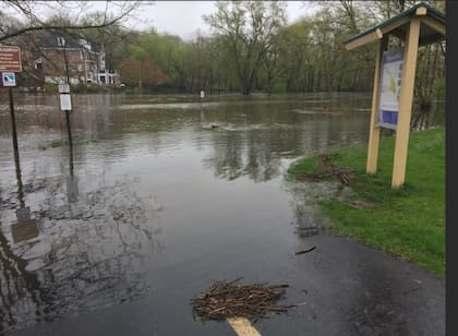 El perro se perdió en medio de las tormentas que azotaron a Naperville