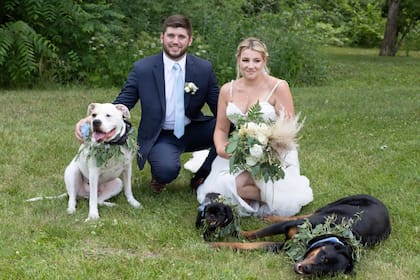 El perro se recuperó y llevaron a cabo el casamiento (Foto Facebook VCA Veterinary Emergency Service & Veterinary Specialty Center)