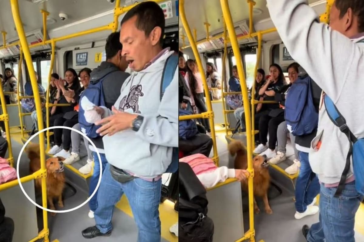 El perro se volvió viral en TikTok