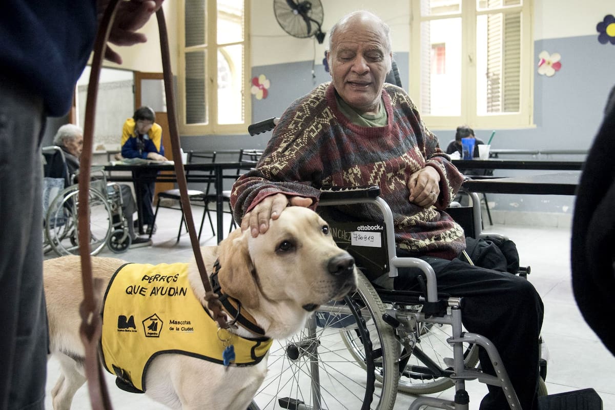 El perro Torino, con los residentes del hogar San Martín