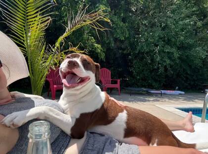 El perro vive una vida feliz junto a su dueña (Foto: The Dodo)