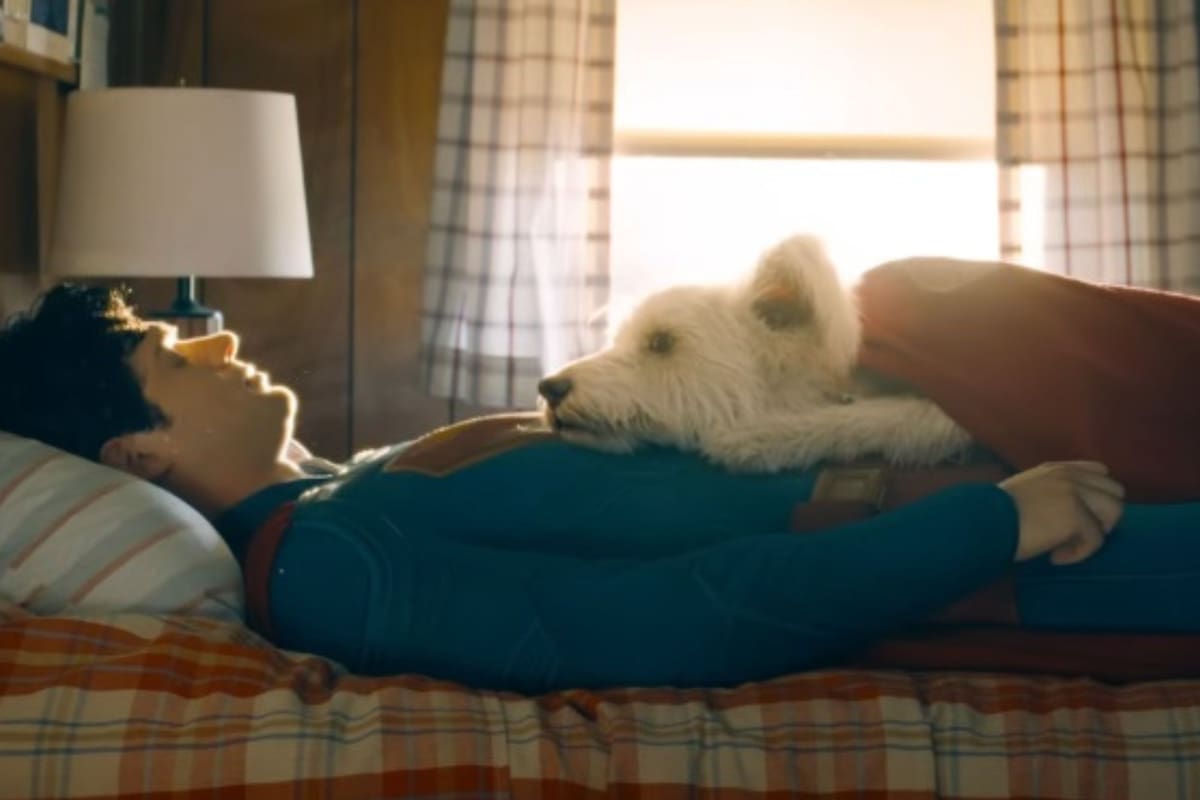 El personaje de Krypto apareció por primera vez en un cómic de 1955. Foto: DC, YouTube