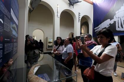 El Perucetus colossus no ha dejado de recibir visitas