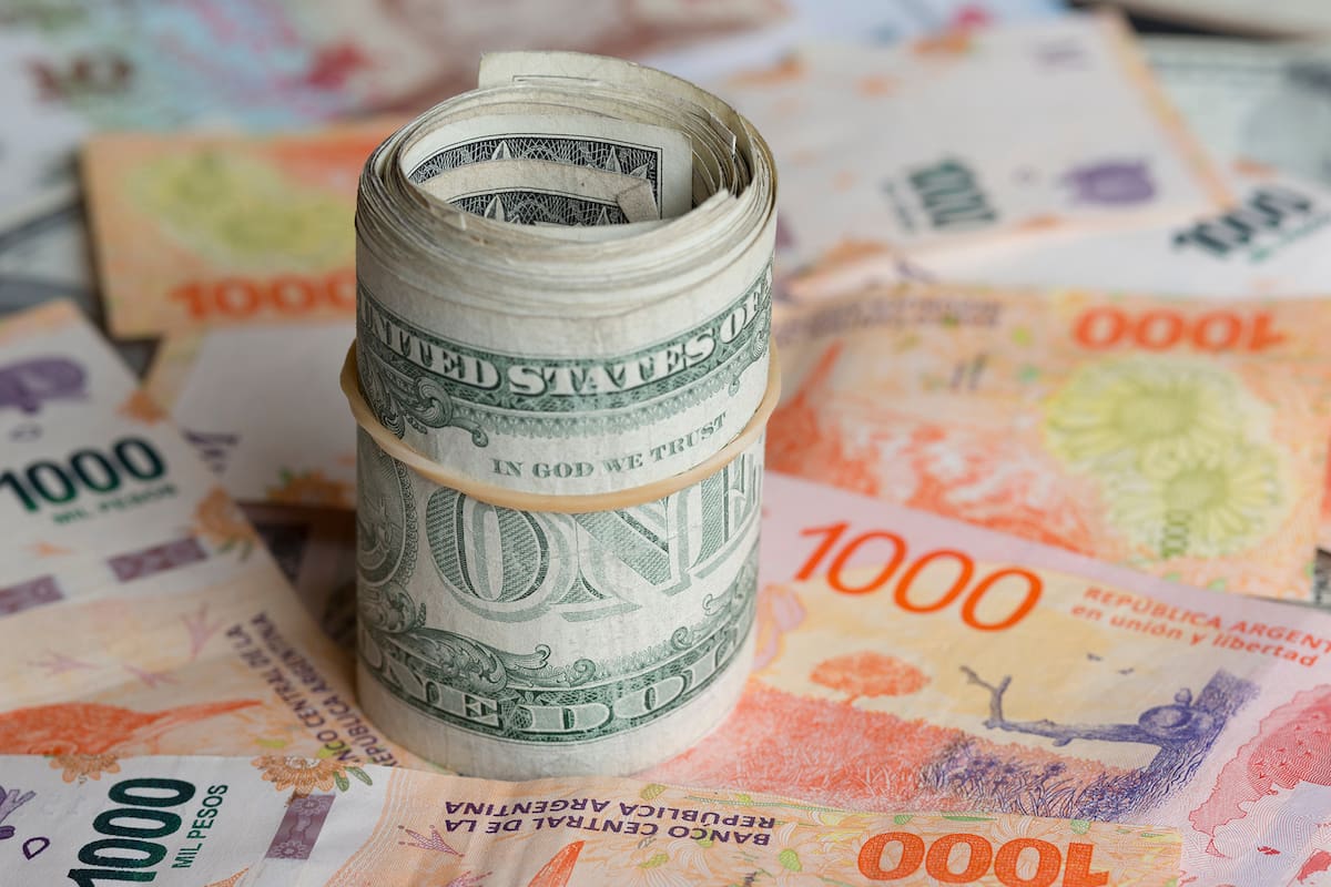 El peso se devaluó 4,2% oficialmente
Dólar vs. tasa: Las mejores estrategias para ganarle la carrera a la inflación.