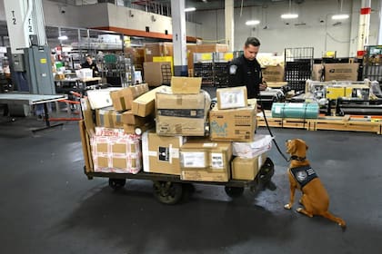 El peso total de la droga incautada fue de 668 kilos