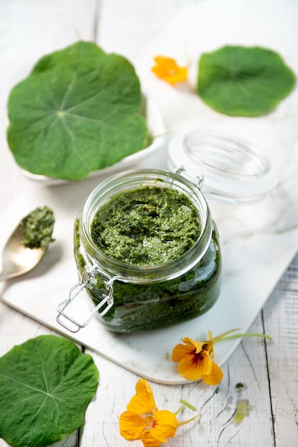 El pesto de taco de reina para darle sabor a tus pastas, pollo o carne.