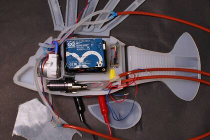 El pez robot creado en la universidad de Cornell almacena su energía en el mismo fluido que recorre toda la máquina