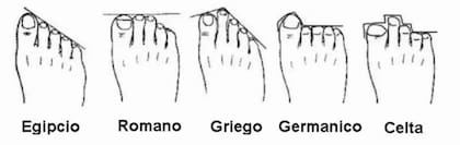 El pie egipcio, el romano, el griego, el germánico y el celta presentan diferentes formas que pueden revelar aspectos ocultos de la personalidad