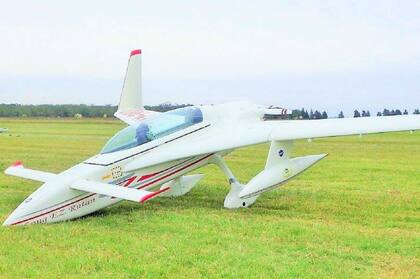 El piloto y propietario de la aeronave fue identificado como Aldo Nicola, de 74 años