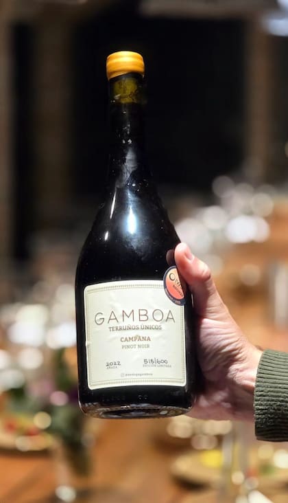 El Pinot Noir premiado por Atkin.
