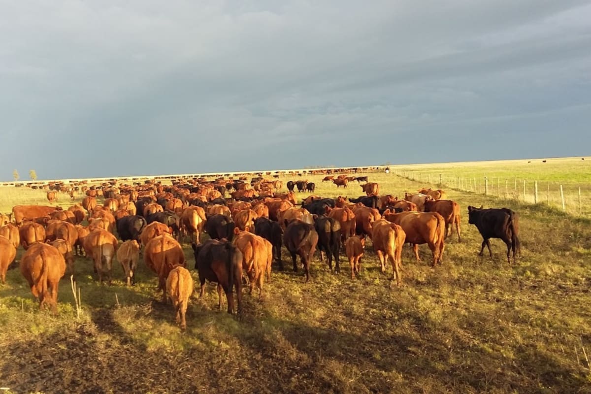 El plan apunta a una mejora con la sanidad