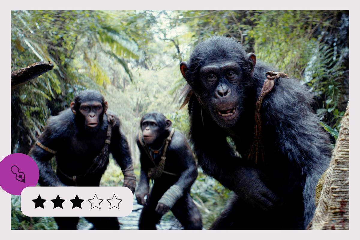 El planeta de los simios: nuevo reino, estreno del jueves 9