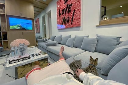El playroom donde Justin Bieber veía televisión con sus mascotas