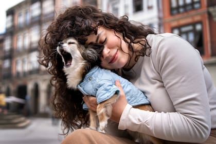 El plazo para notificar al vendedor sobre el estado de salud del animal aumenta de dos a siete días hábiles