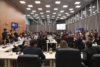 El plenario de Comisiones donde se debatió el acuerdo con dos holdouts y el "Súper RIGI"