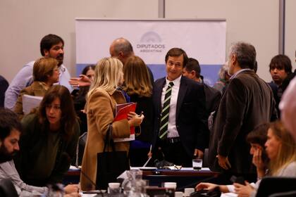 El plenario de comisiones se volvió a reunir y avanzó para que mañana sea tratado el proyecto de ley que busca legalizar el aborto