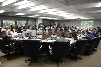 El plenario del Consejo de la Magistratura del 6 de marzo pasado