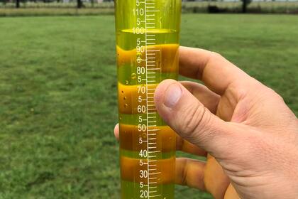 El pluviómetro del campo que arrienda Dante Garciandia