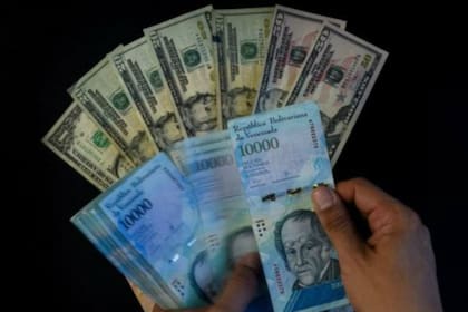 El poder adquisitivo de quienes tienen ganan en dólares es mucho mayor al de quienes perciben un salario en la moneda nacional