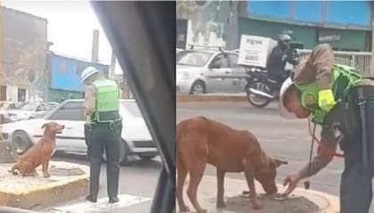 El policía de tránsito se llevó el aplauso de cientos de personas gracias a su accionar con un pequeño perro (Foto: Captura de video / TikTok)