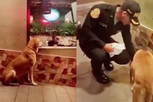 El policía recibió el agradecimiento de miles de usuarios