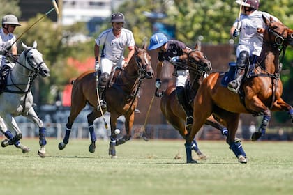 El polo argentino tenía hasta el momento las reglas más laxas en cuanto a el bienestar de los caballos