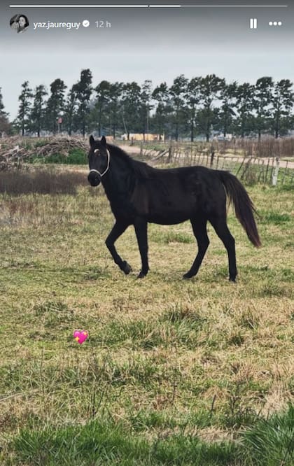 El pony luego de la polémica del Colo Barco y su mujer con su hija Gemma