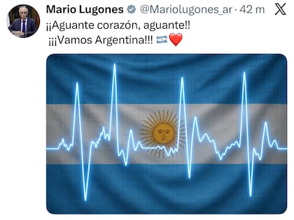 El posteo de Lugones