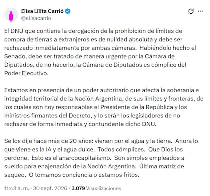 El posteo de Carrió